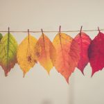 activités en intérieur pour les enfants au mois de novemebre