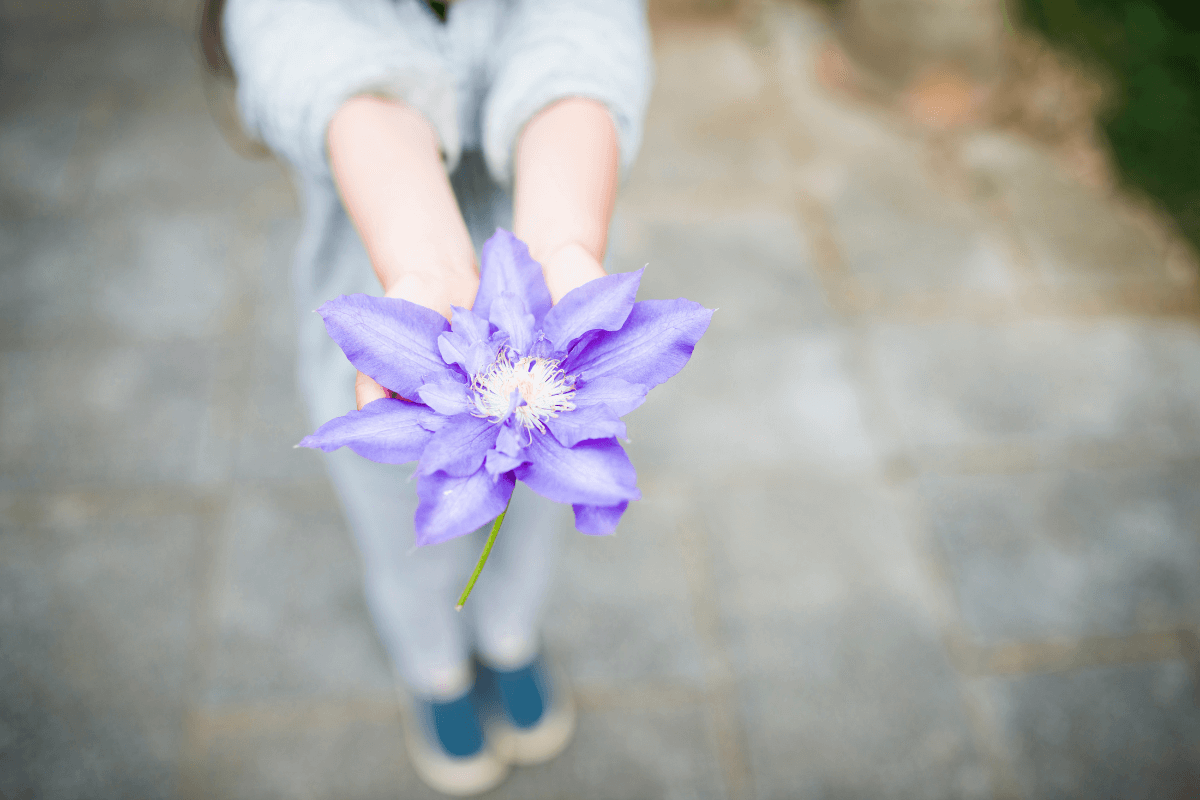 enseigner gratitude et generosite a votre enfant