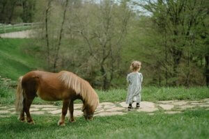 Enfant découvrant un poney dans un cadre naturel
