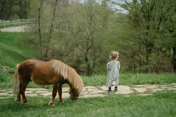 Enfant découvrant un poney dans un cadre naturel