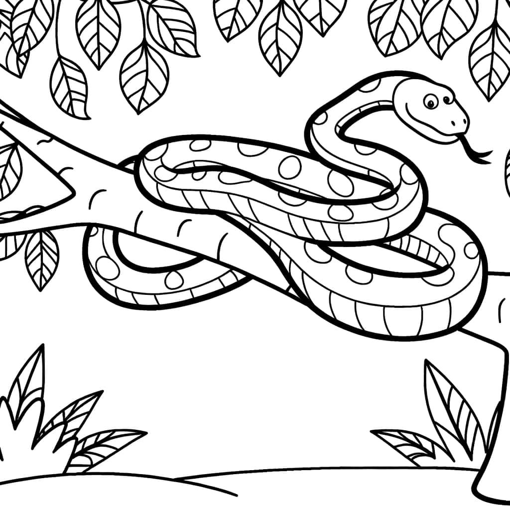Coloriage Serpent dans la jungle à imprimer et colorier