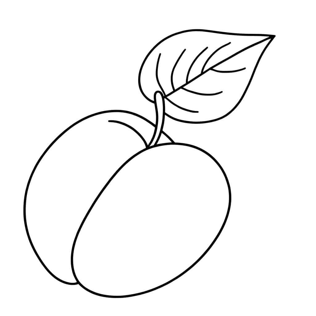 Coloriage Abricot avec feuille à imprimer et colorier