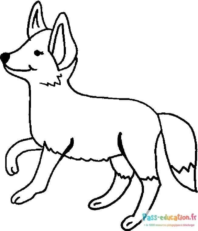 Coloriage Renard agile à imprimer et colorier