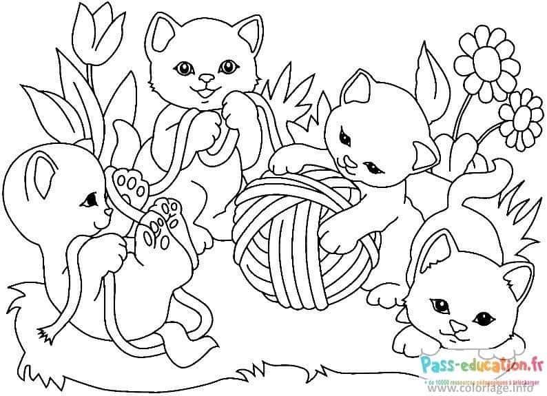 Coloriage Chats Complices à imprimer et colorier