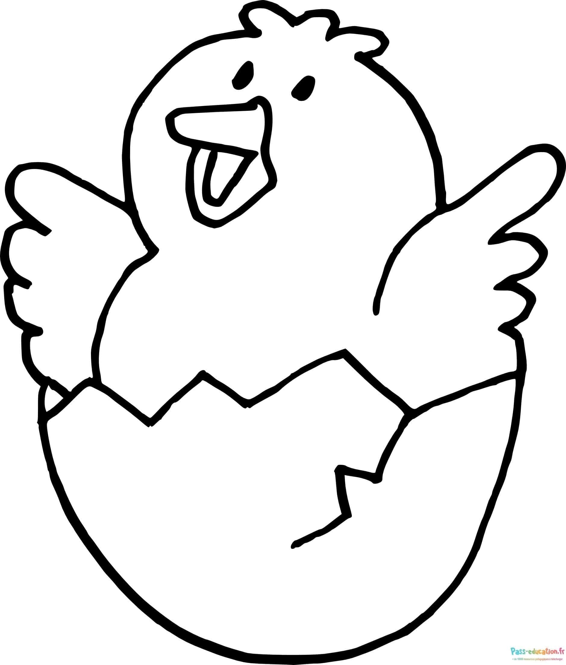 Coloriage Poussin dans œuf à imprimer et colorier