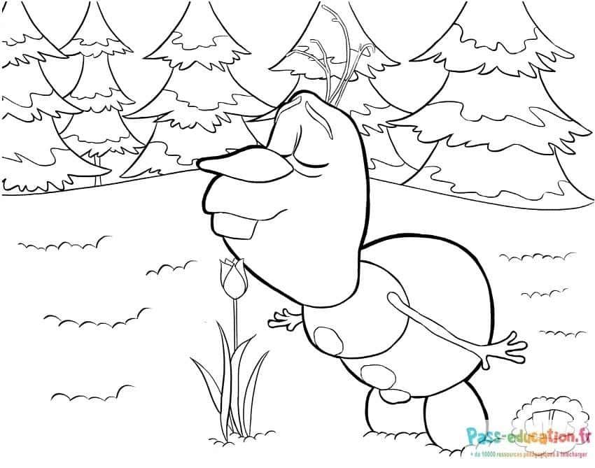 Coloriage Olaf sent la tulipe à imprimer et colorier