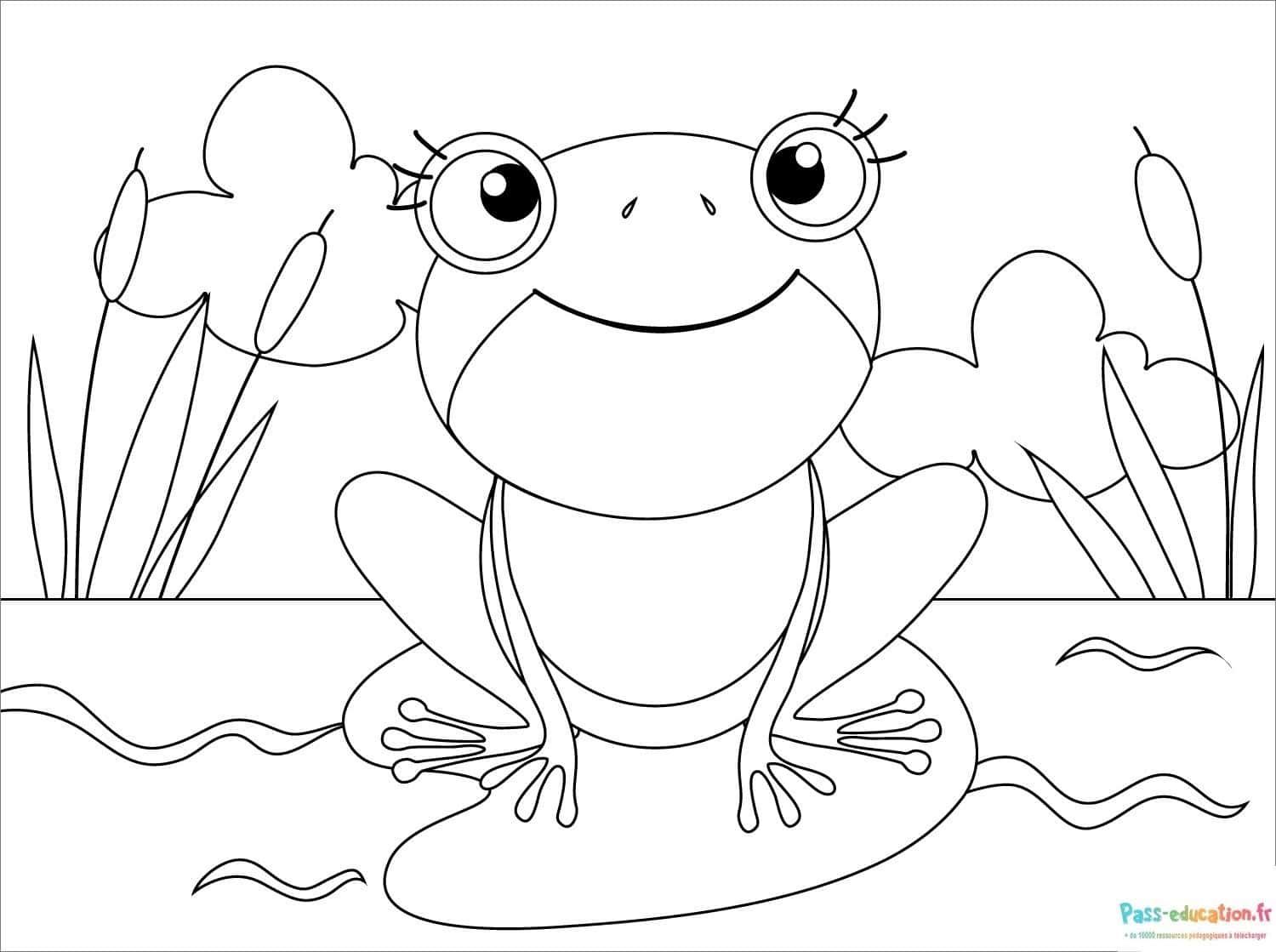 Coloriage Grenouille souriante à imprimer et colorier