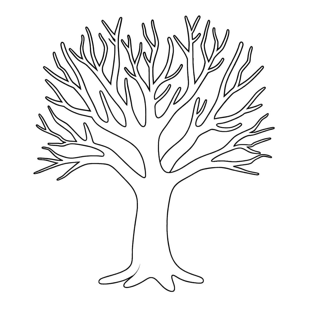 Coloriage Arbre Nu à imprimer et colorier