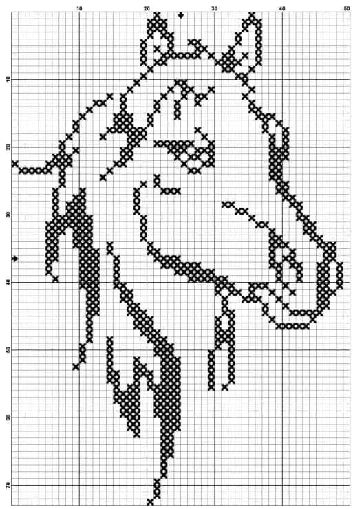 Coloriage Cheval profil à imprimer et colorier