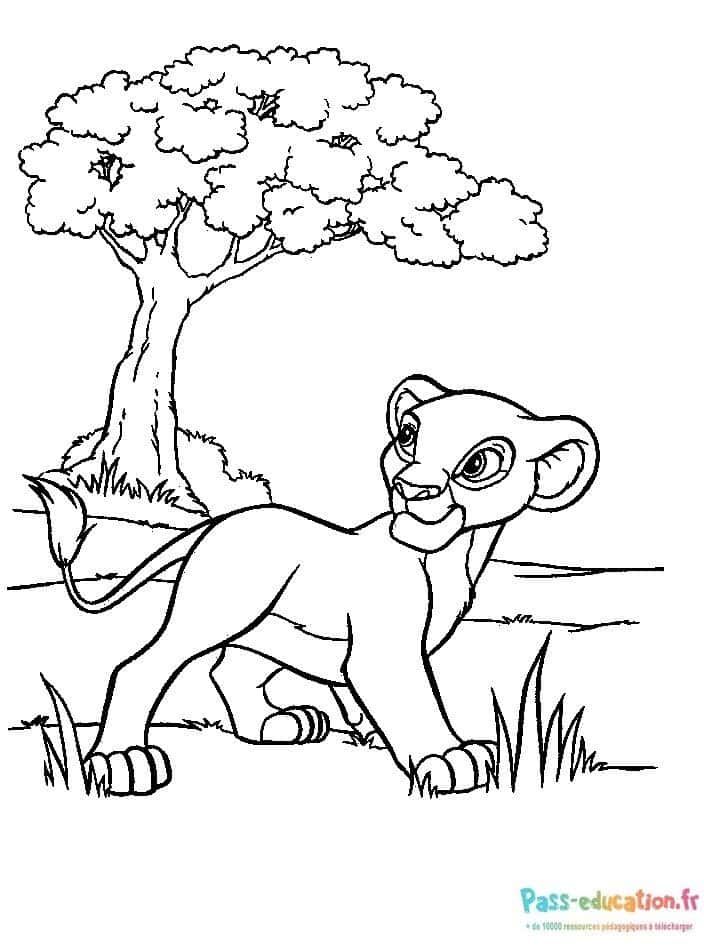 Coloriage Jeune lion en promenade à imprimer et colorier
