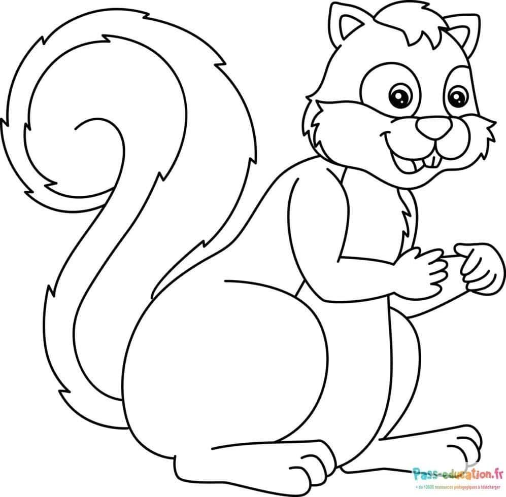 Coloriage Écureuil joyeux à imprimer et colorier