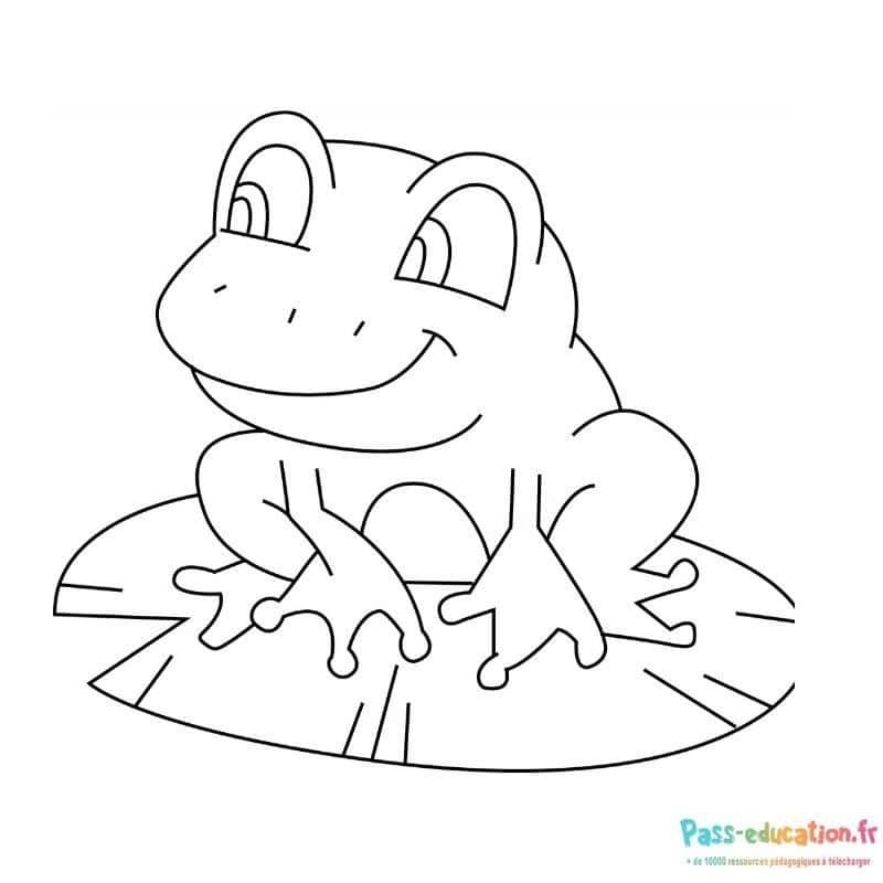 Coloriage Grenouille sur nénuphar à imprimer et colorier