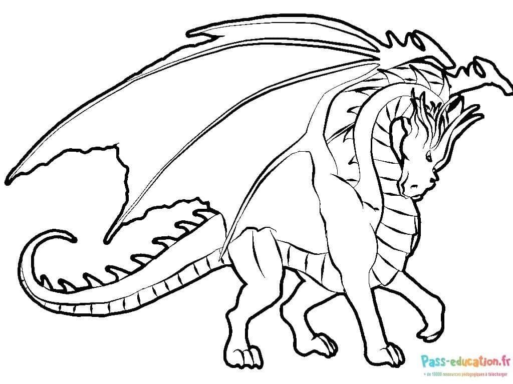 Coloriage Dragon majestueux à imprimer et colorier