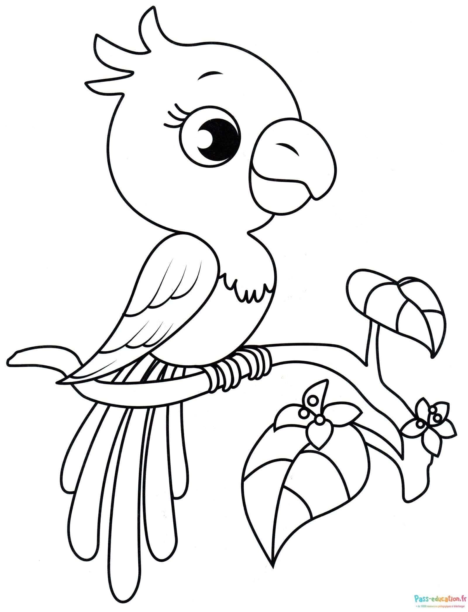 Coloriage Perroquet sur branche à imprimer et colorier
