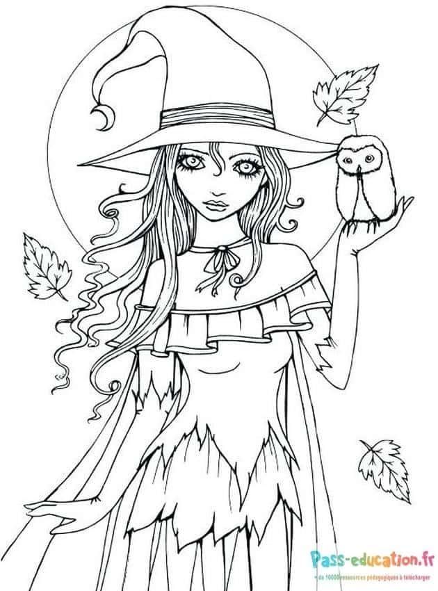 Coloriage Sorcière et hibou à imprimer et colorier