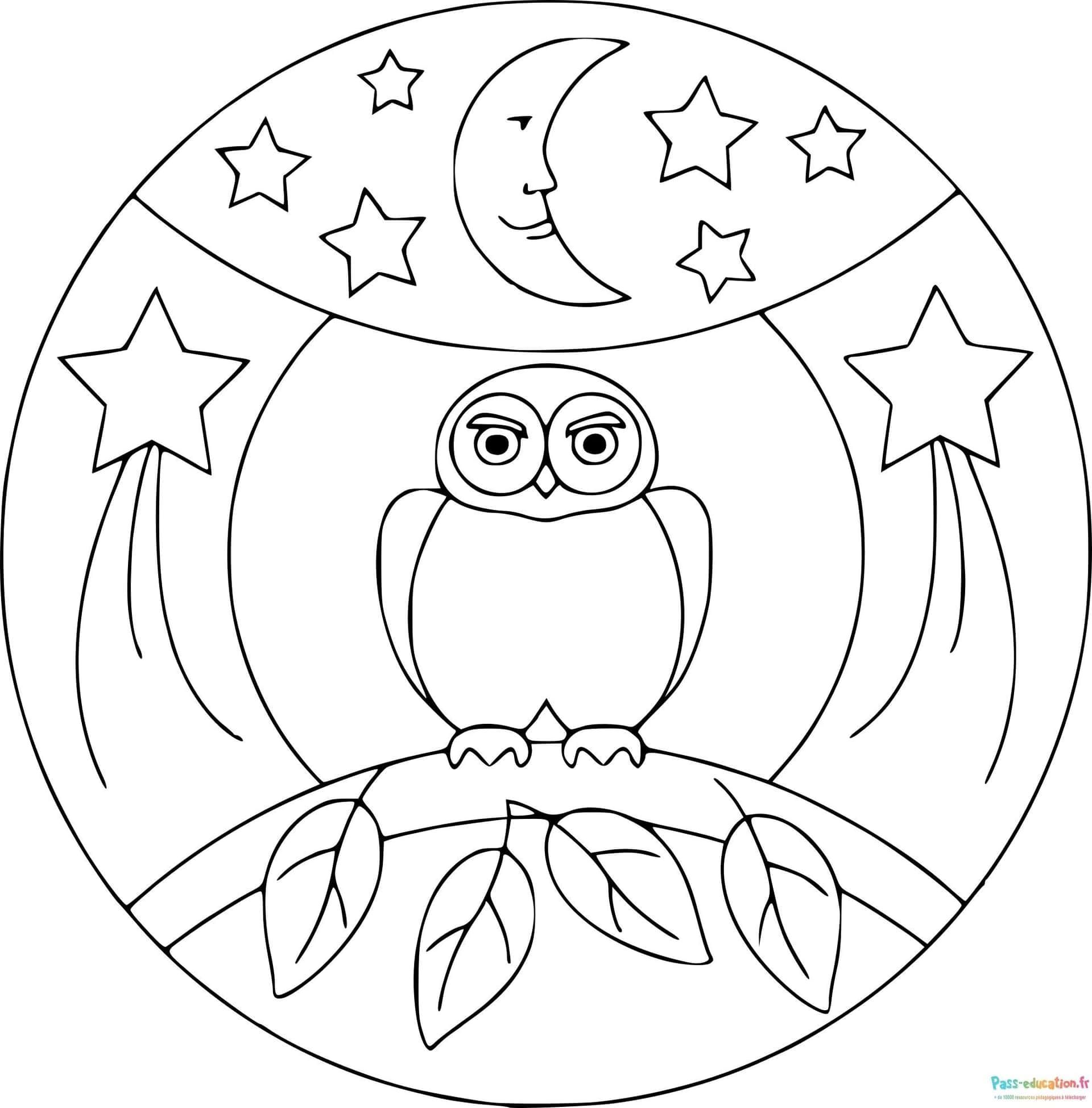 Coloriage Hibou nocturne à imprimer et colorier