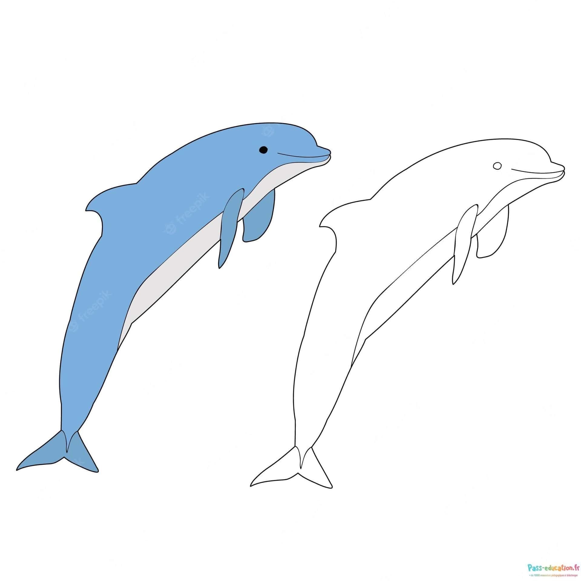 Coloriage Dauphins joyeux à imprimer et colorier