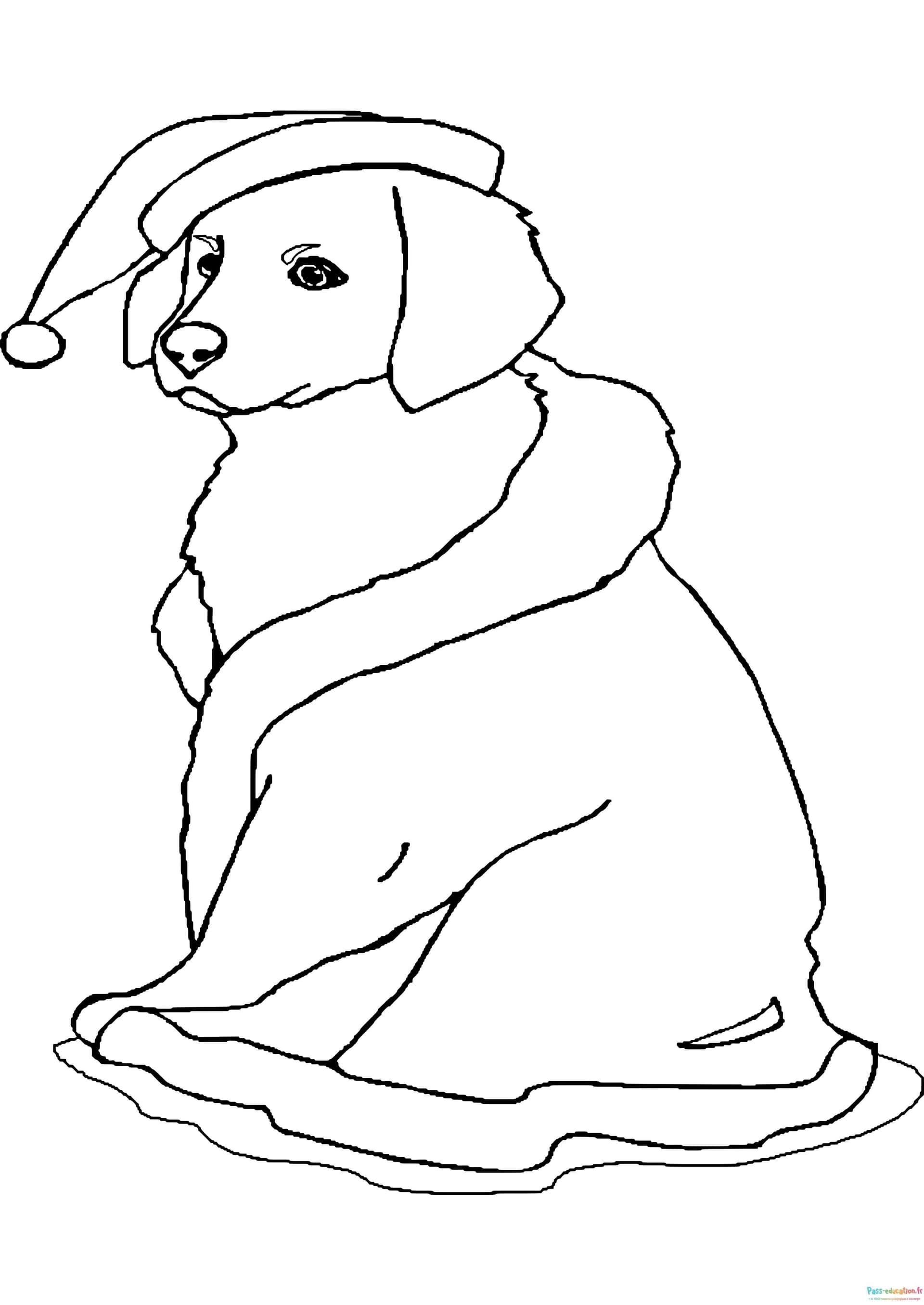 Coloriage Chien de Noël à imprimer et colorier