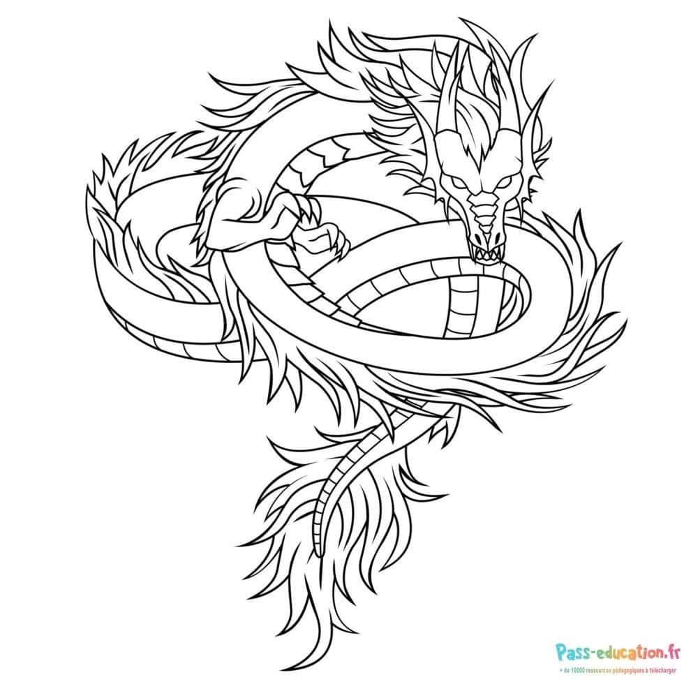 Coloriage Dragon enroulé à imprimer et colorier