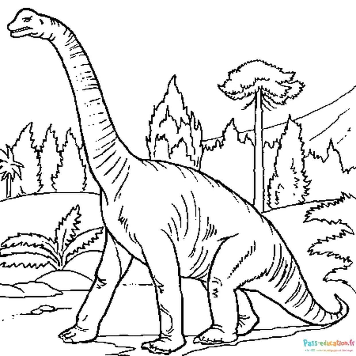 Coloriage Dinosaure Brachiosaure à imprimer et colorier
