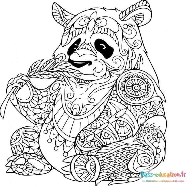 Coloriage Panda mandala à imprimer et colorier