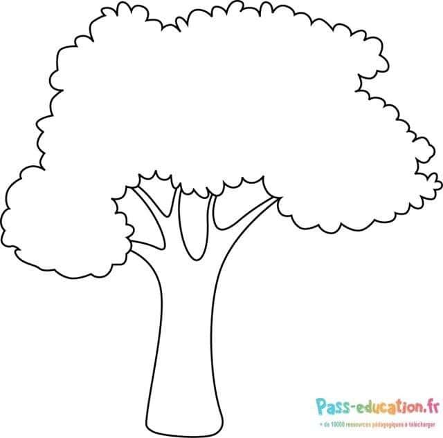 Coloriage Arbre généreux à imprimer et colorier