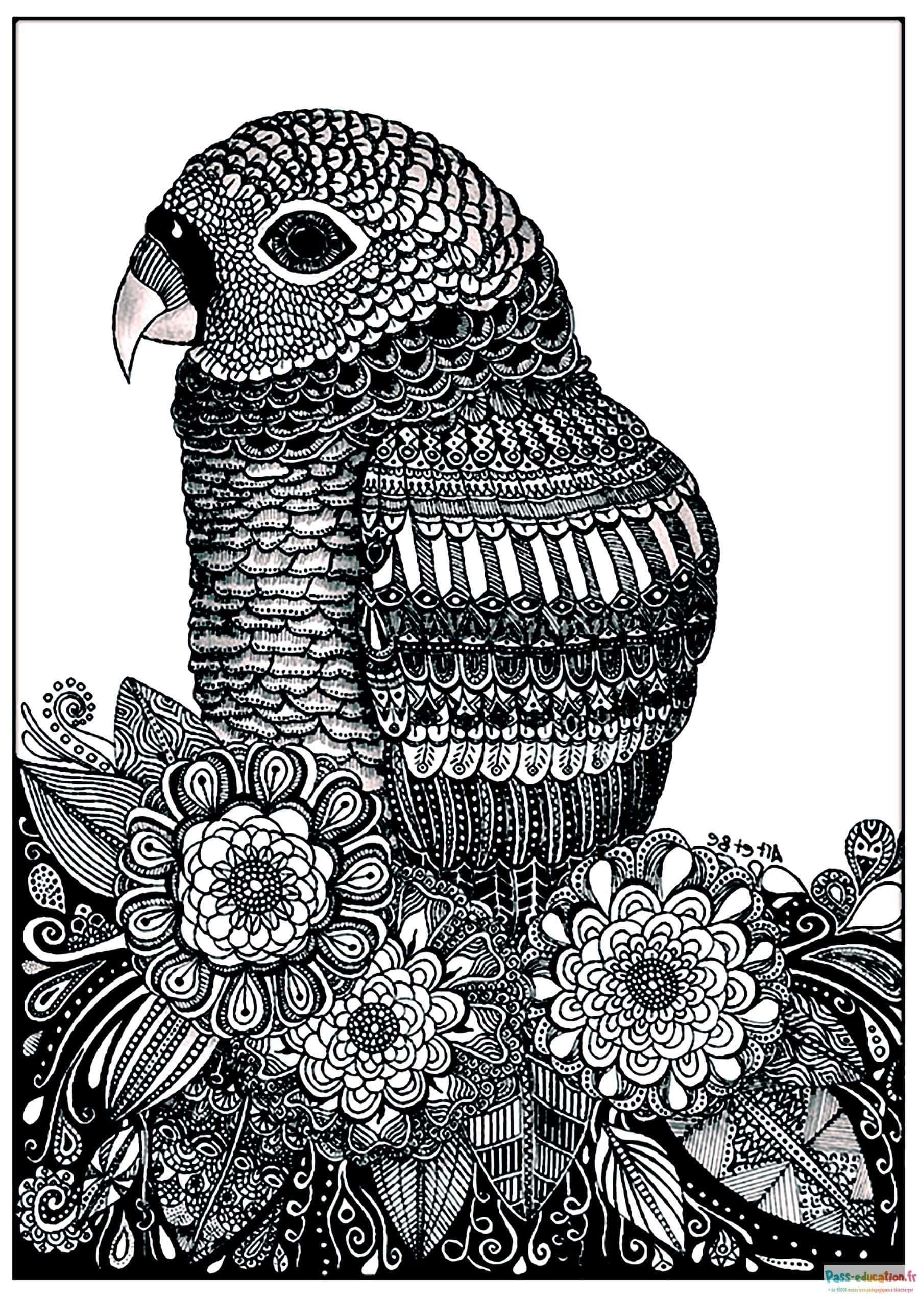 Coloriage Perroquet exotique à imprimer et colorier