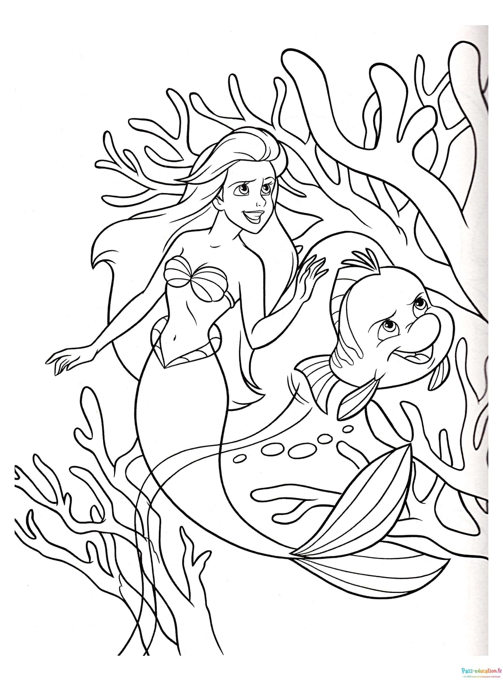 Coloriage Ariel et Flounder à imprimer et colorier