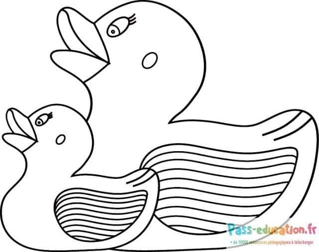 Coloriage Canards en duo à imprimer et colorier