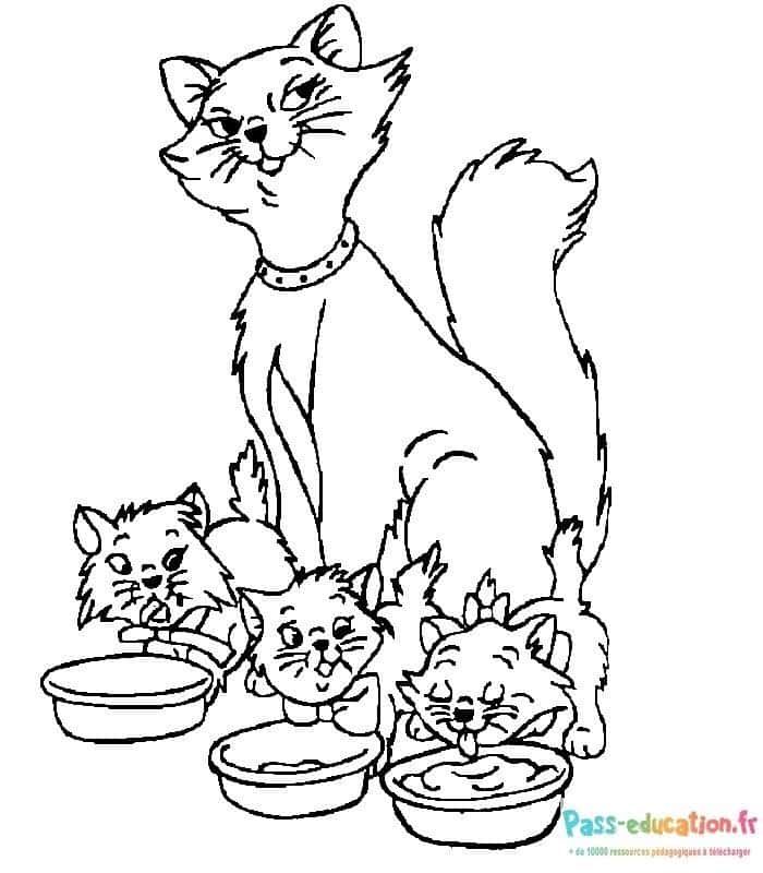 Coloriage Famille de chats à imprimer et colorier