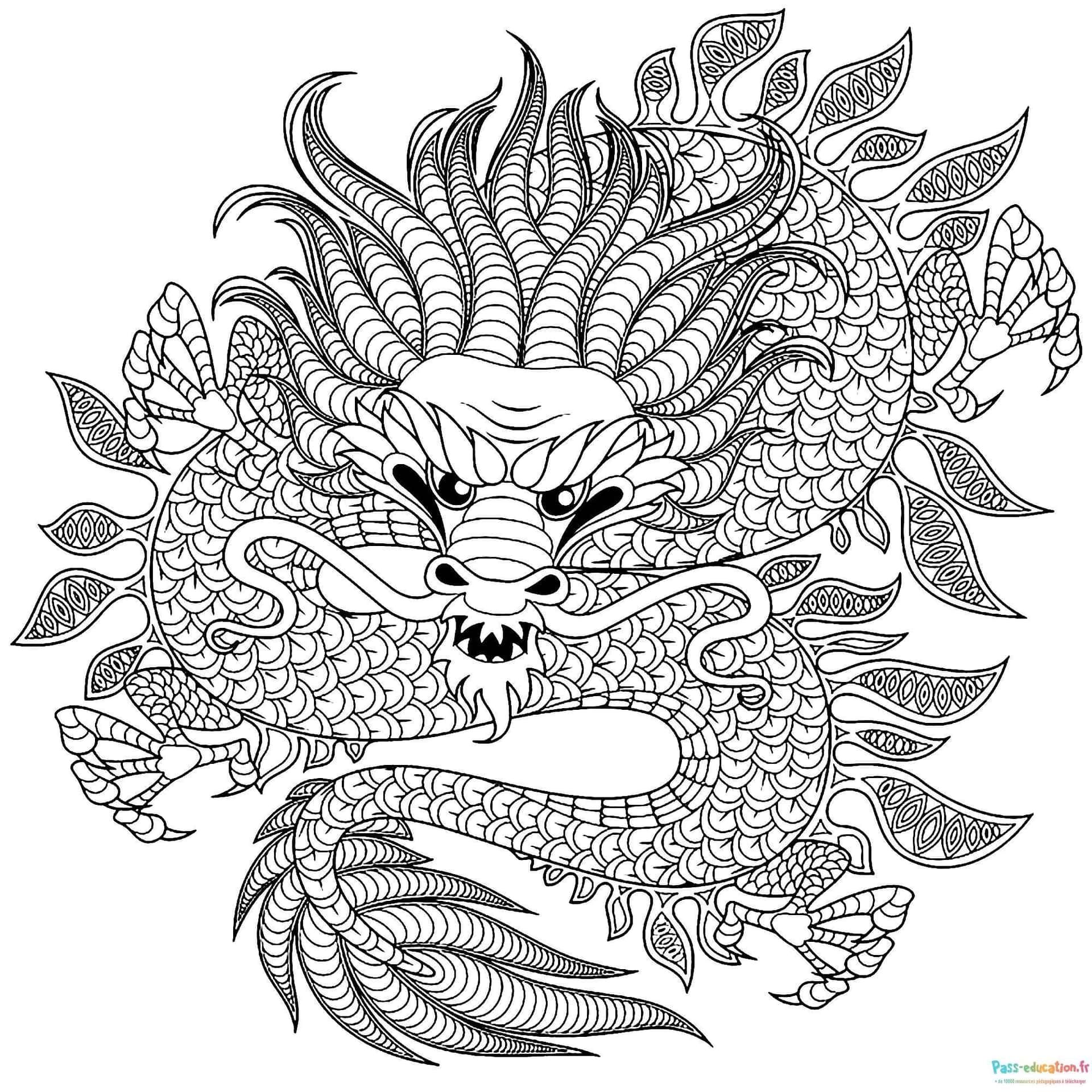 Coloriage Dragon majestueux à imprimer et colorier