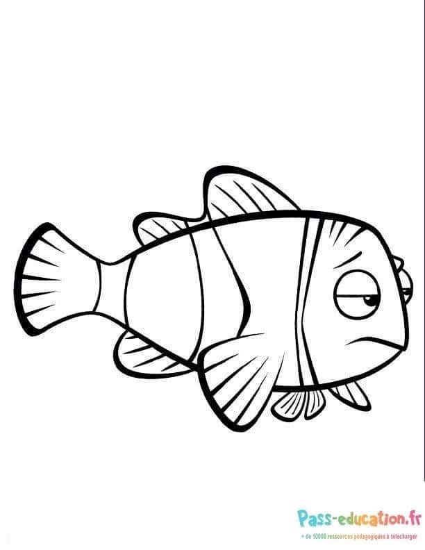 Coloriage Poisson triste à imprimer et colorier
