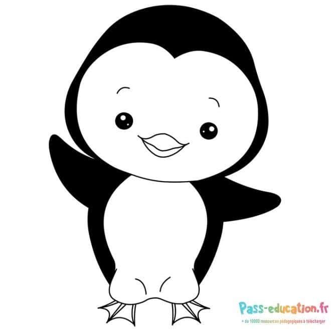 Coloriage Pingouin souriant à imprimer et colorier