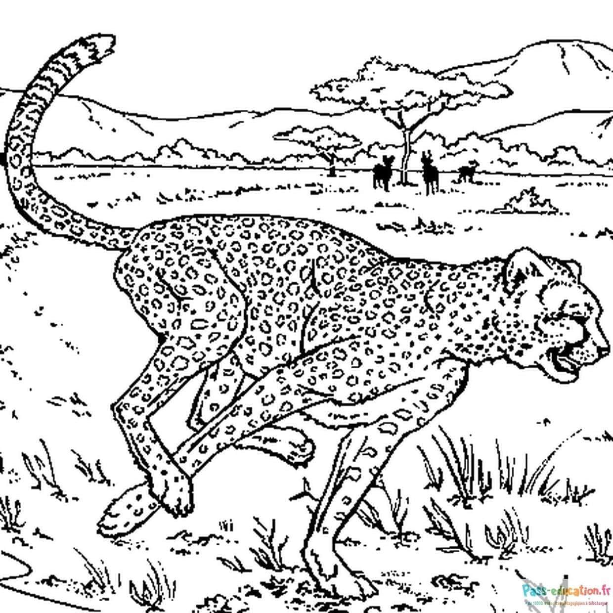 Coloriage Guépard dans la savane à imprimer et colorier