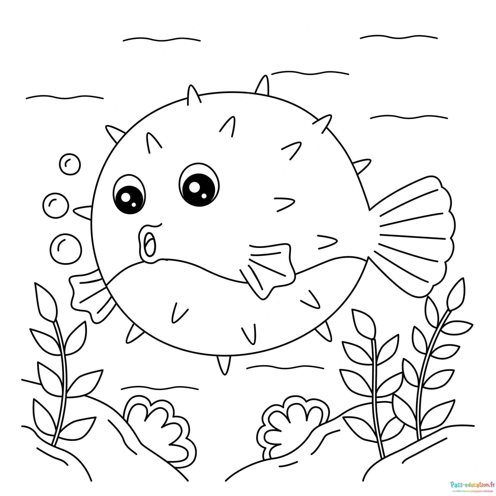 Coloriage Poisson gonflé à imprimer et colorier