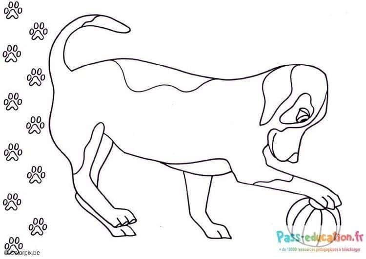 Coloriage Chien jouant au ballon à imprimer et colorier