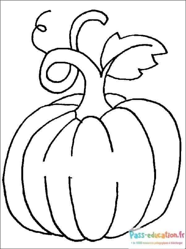 Coloriage Citrouille d'automne à imprimer et colorier