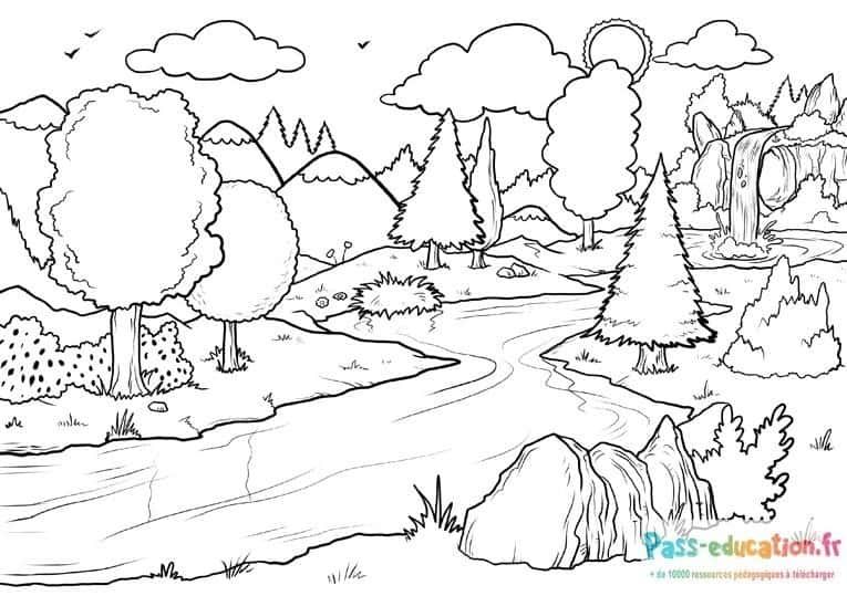 Coloriage Paysage forestier à imprimer et colorier
