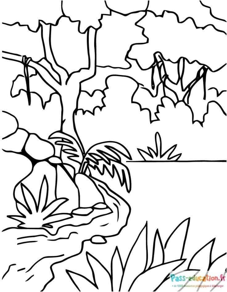 Coloriage Jungle mystérieuse à imprimer et colorier