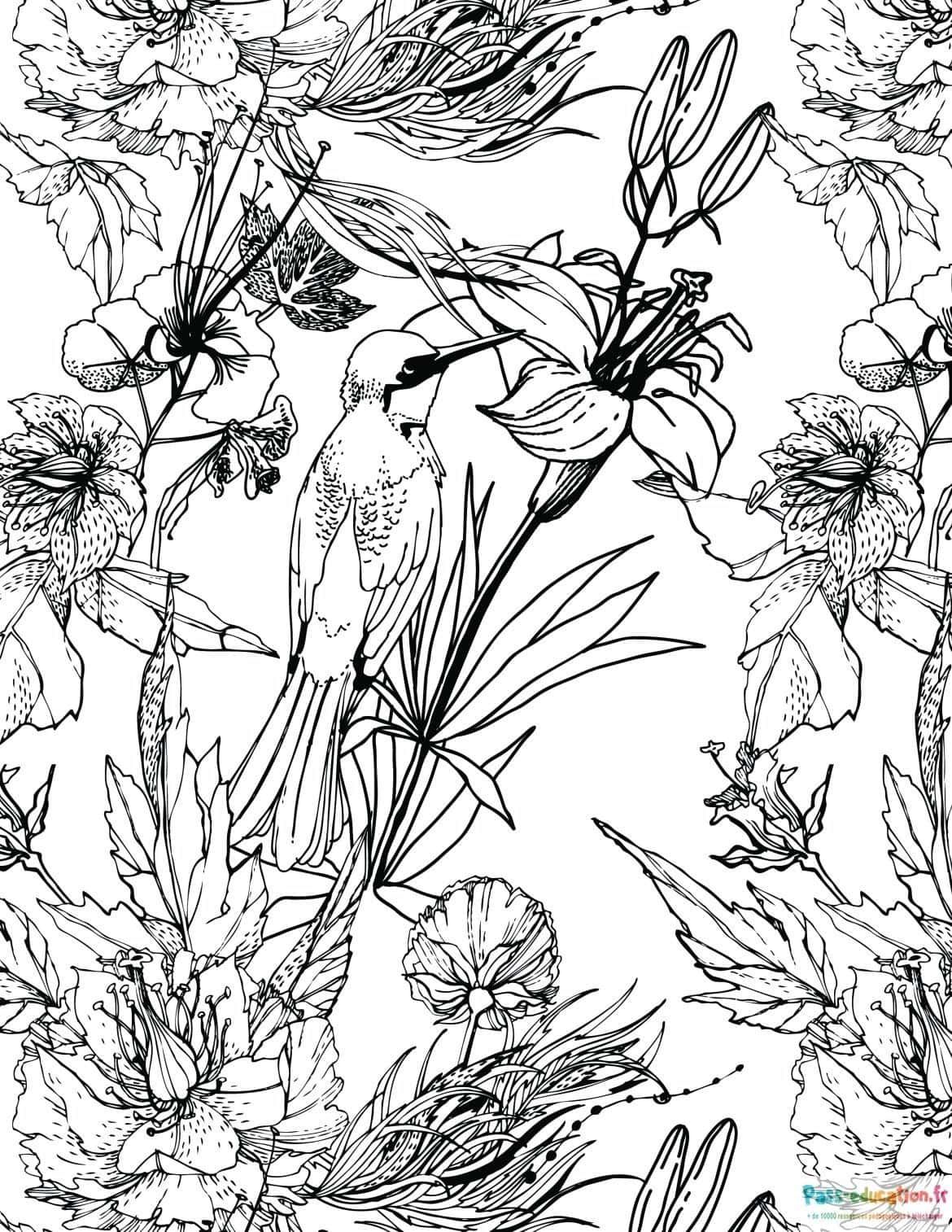 Coloriage Oiseau et fleurs à imprimer et colorier