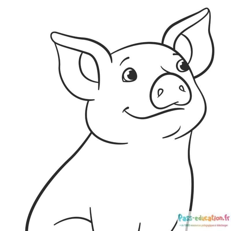 Coloriage Porc souriant à imprimer et colorier