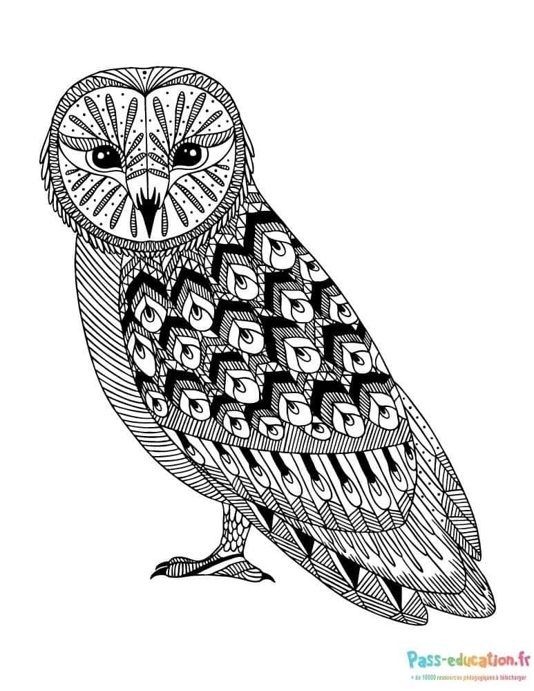 Coloriage Chouette stylisée à imprimer et colorier