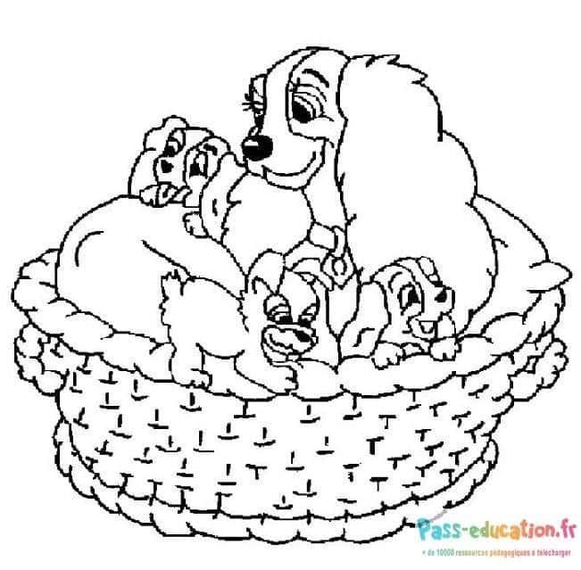 Coloriage Chiots dans un panier à imprimer et colorier
