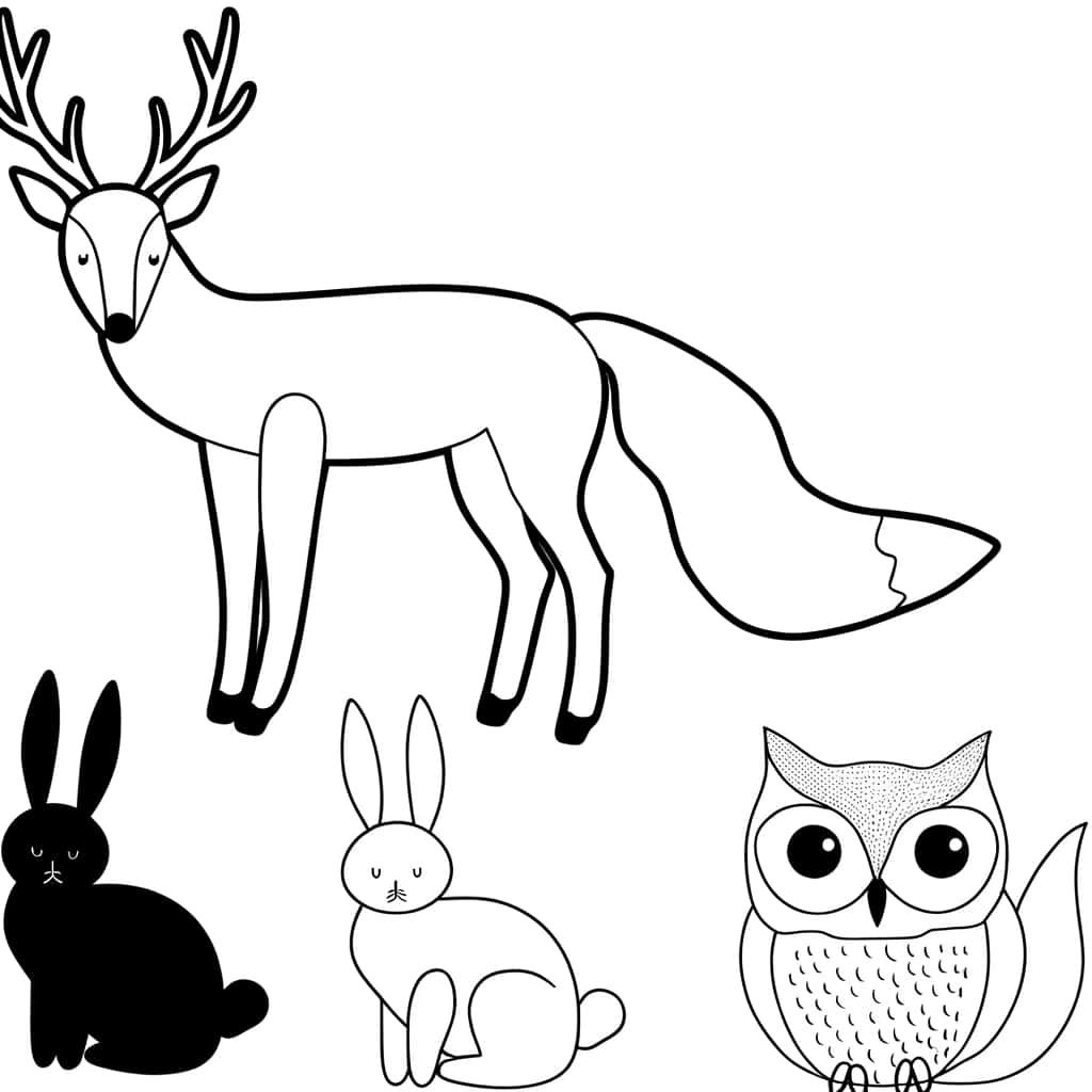 Coloriage Animaux de la forêt à imprimer et colorier