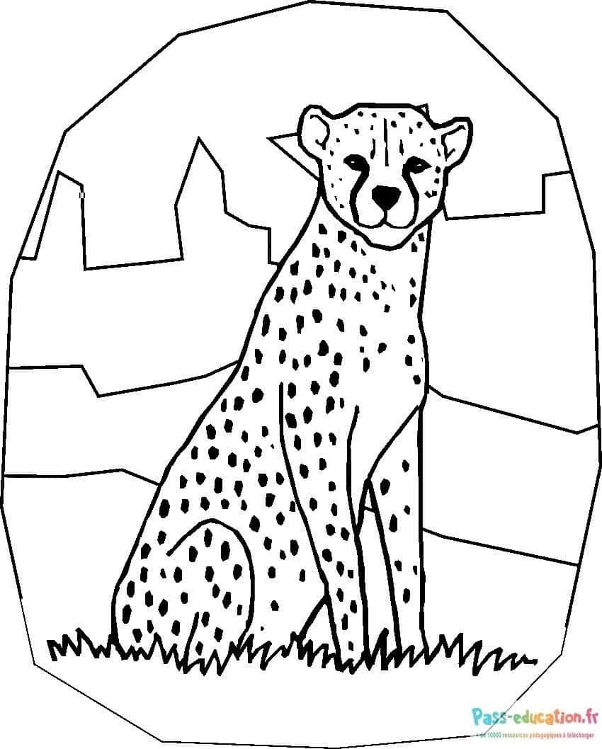 Coloriage Guépard paisible à imprimer et colorier