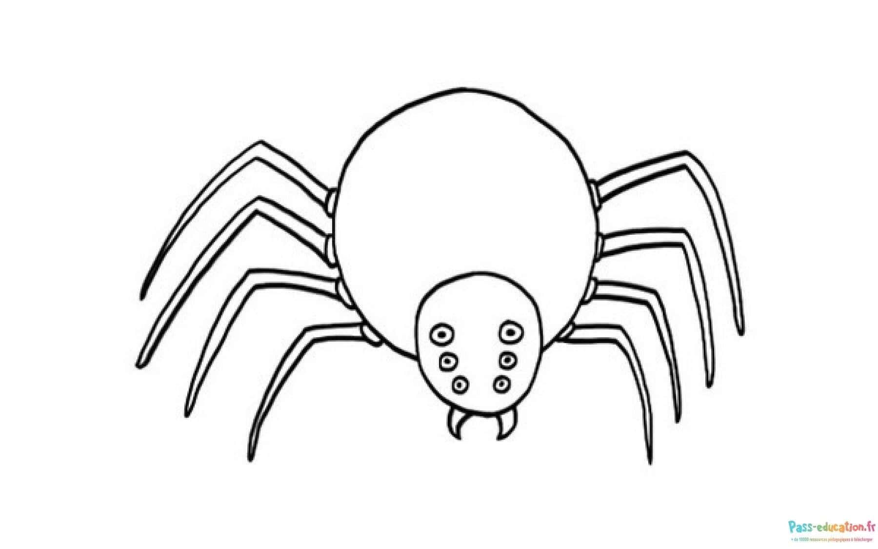 Coloriage Araignée stylisée à imprimer et colorier