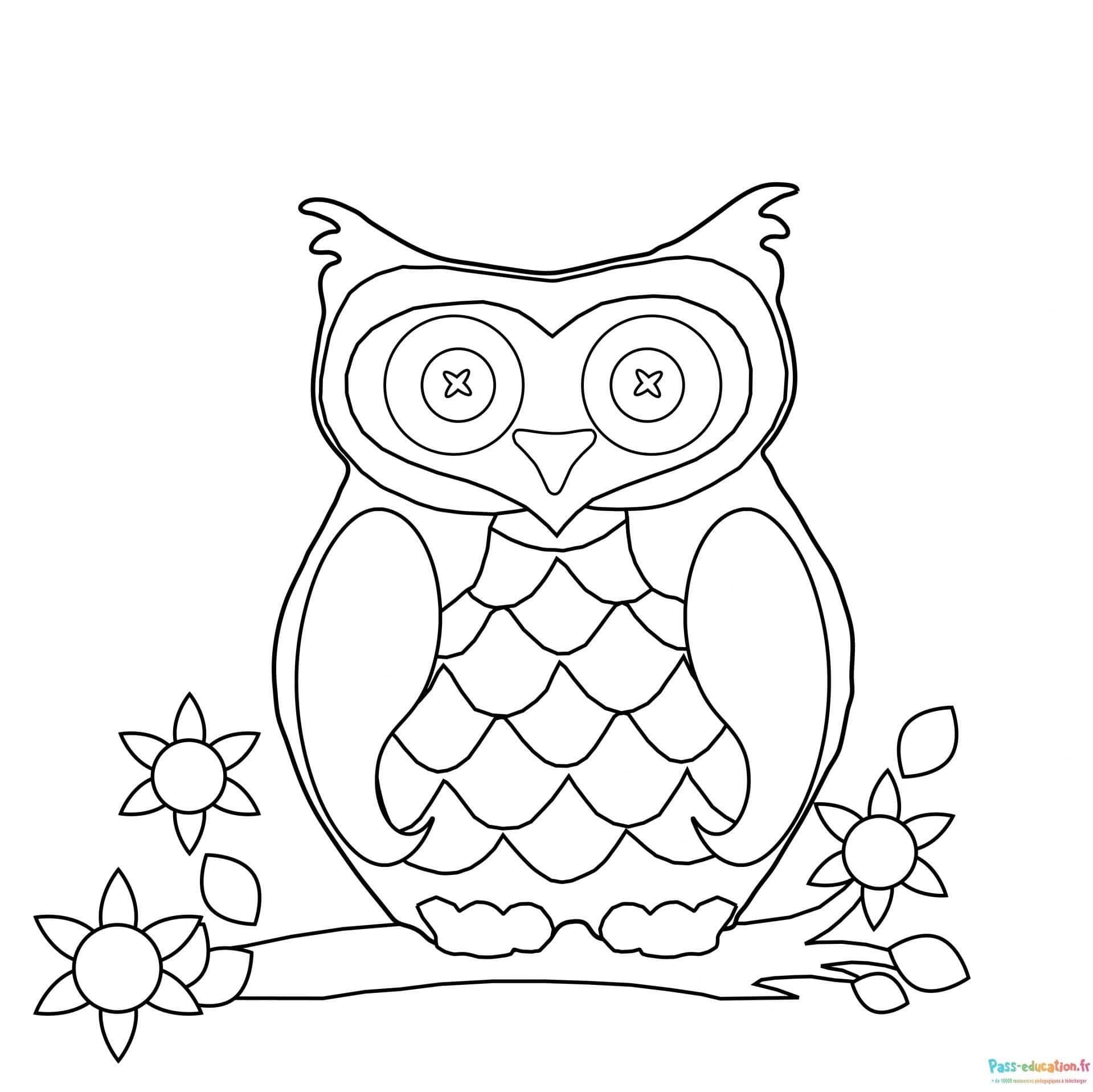 Coloriage Hibou sur branche à imprimer et colorier