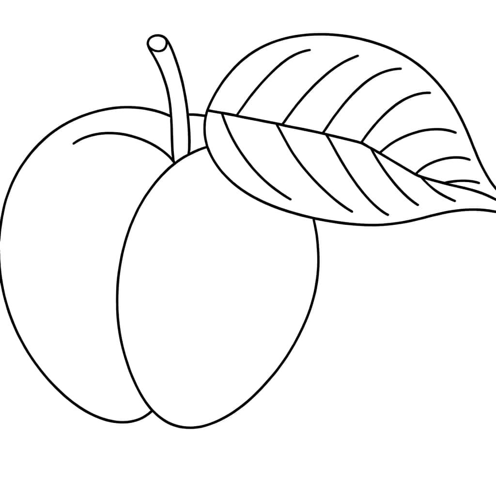 Coloriage Abricot avec feuille à imprimer et colorier