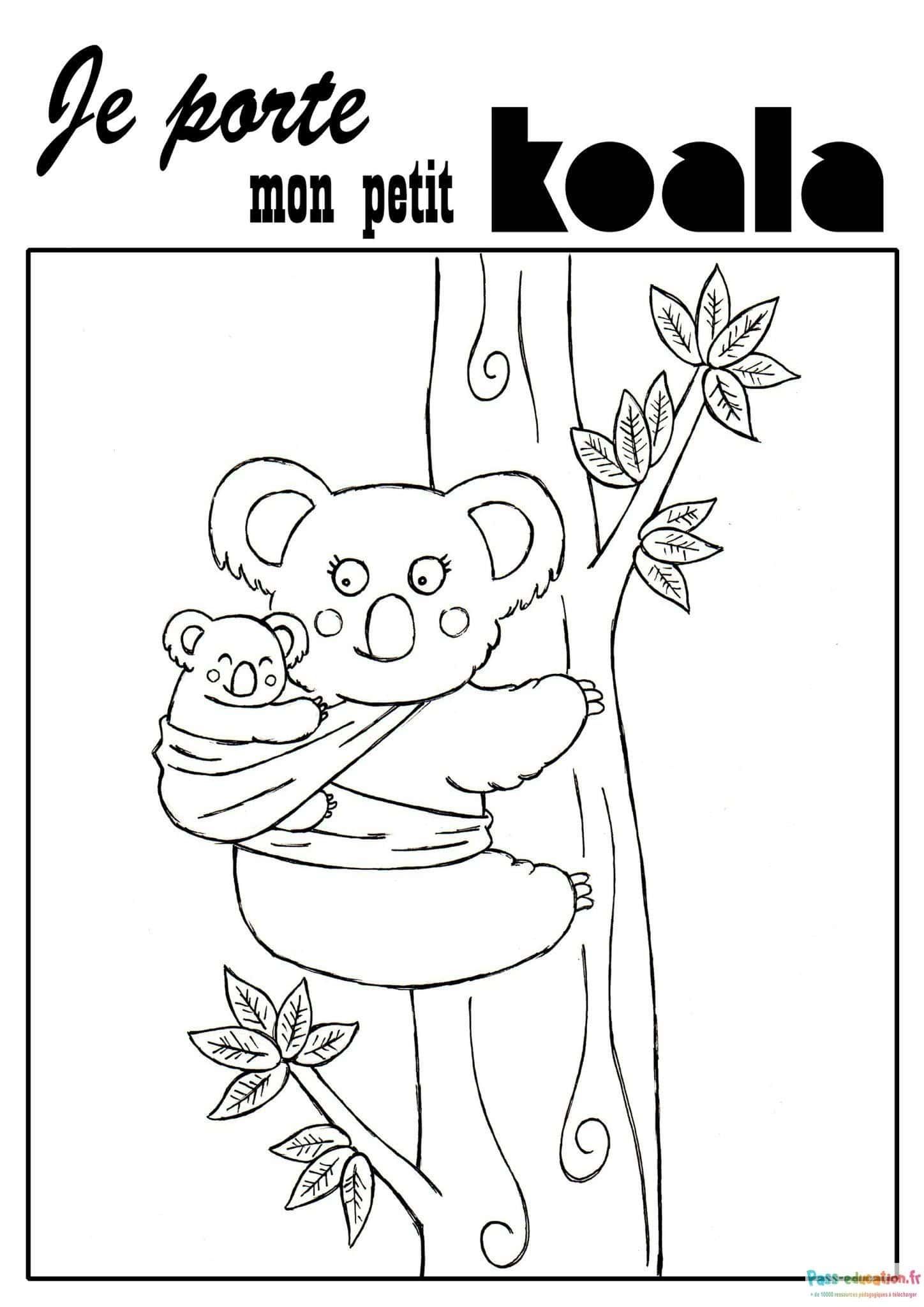 Coloriage Koala et son petit à imprimer et colorier