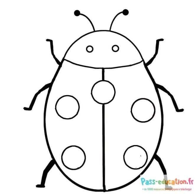 Coloriage Coccinelle dessin simple à imprimer et colorier
